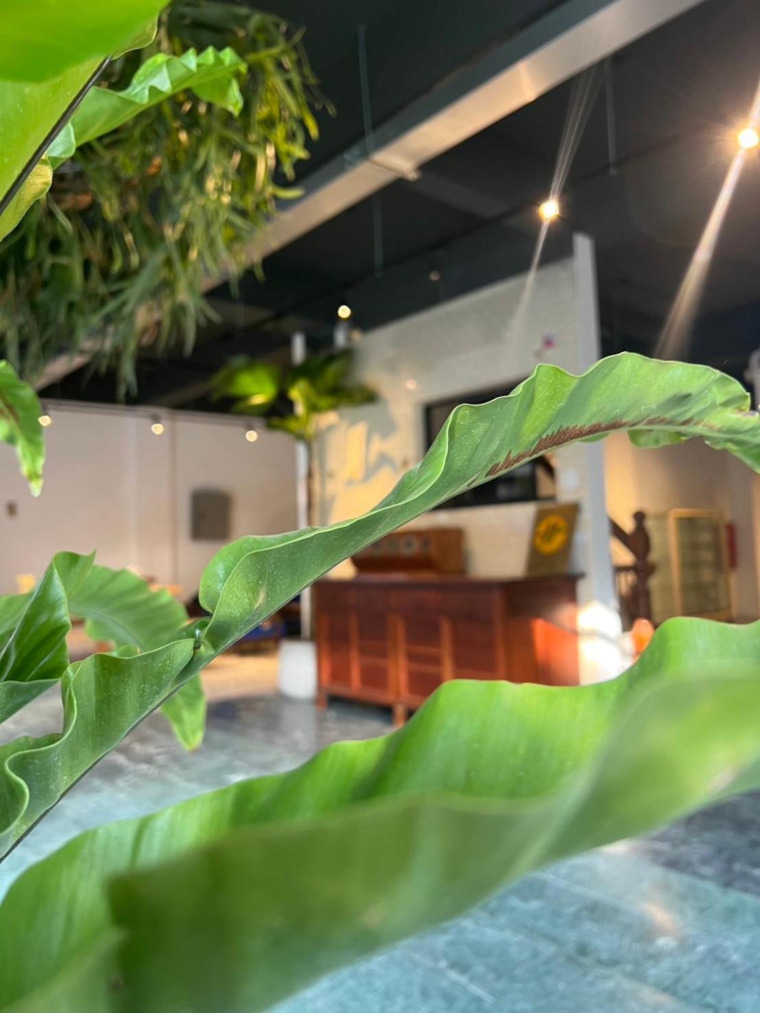 Yan Bin Hotel Đài Nam Ngoại thất bức ảnh